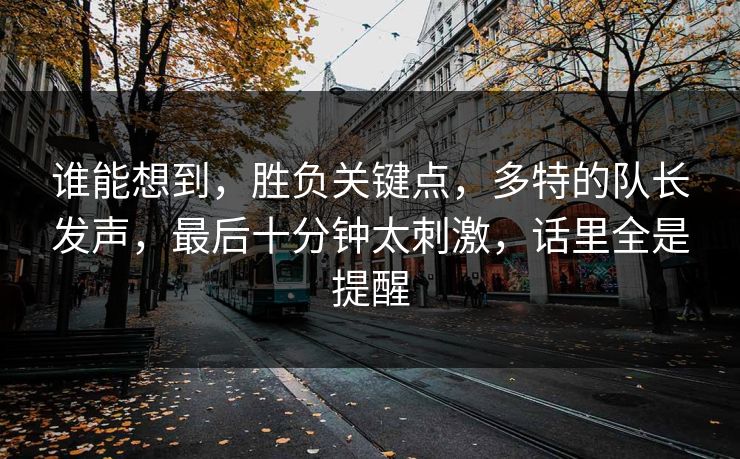 谁能想到，胜负关键点，多特的队长发声，最后十分钟太刺激，话里全是提醒  第1张