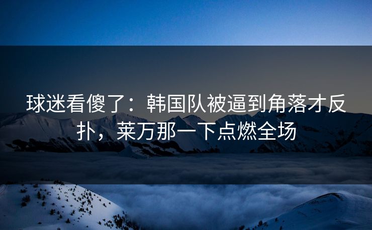 球迷看傻了：韩国队被逼到角落才反扑，莱万那一下点燃全场  第1张