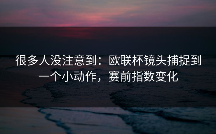 很多人没注意到：欧联杯镜头捕捉到一个小动作，赛前指数变化  第1张