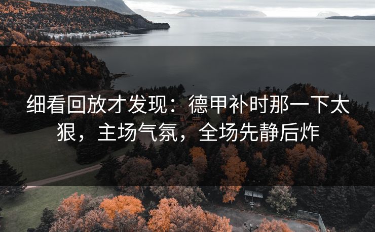 细看回放才发现：德甲补时那一下太狠，主场气氛，全场先静后炸  第1张